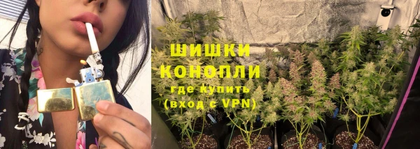 ПСИЛОЦИБИНОВЫЕ ГРИБЫ Аркадак
