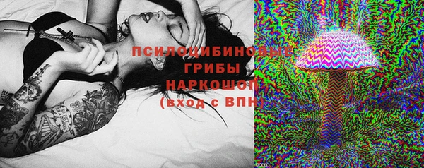 ПСИЛОЦИБИНОВЫЕ ГРИБЫ Аркадак