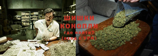ПСИЛОЦИБИНОВЫЕ ГРИБЫ Аркадак