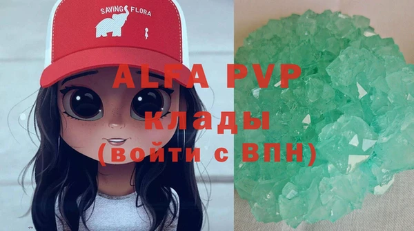 эйфоретик Арсеньев