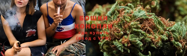 ПСИЛОЦИБИНОВЫЕ ГРИБЫ Аркадак